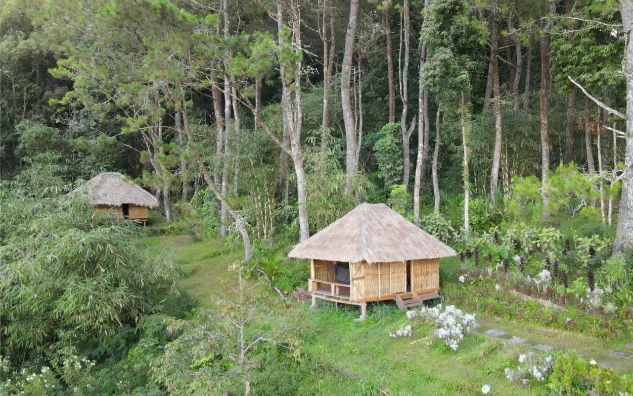 Villa Ticket To The Moon Hammock Camp à Selat Extérieur photo
